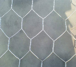 hexagonal wire mesh